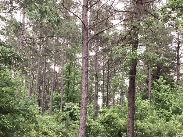 00 Hwy 24, Prescott, AR 71857