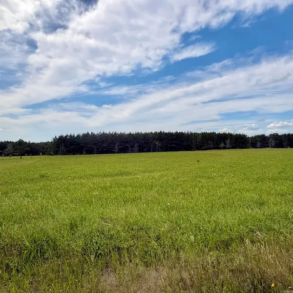 3785 Grant 9, Sheridan, AR 72150