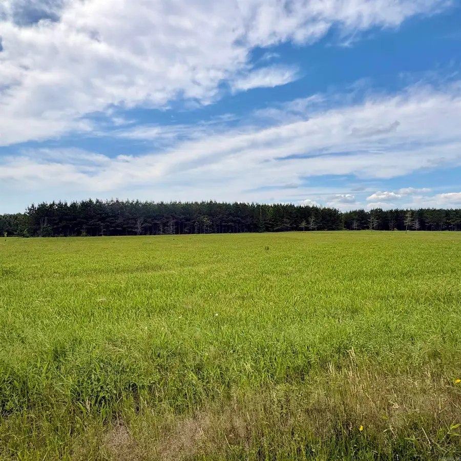3785 Grant 9, Sheridan, AR 72150 - #3