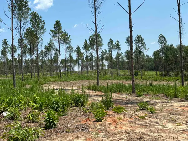 0 Grant 43 (e), Sheridan, AR 72150