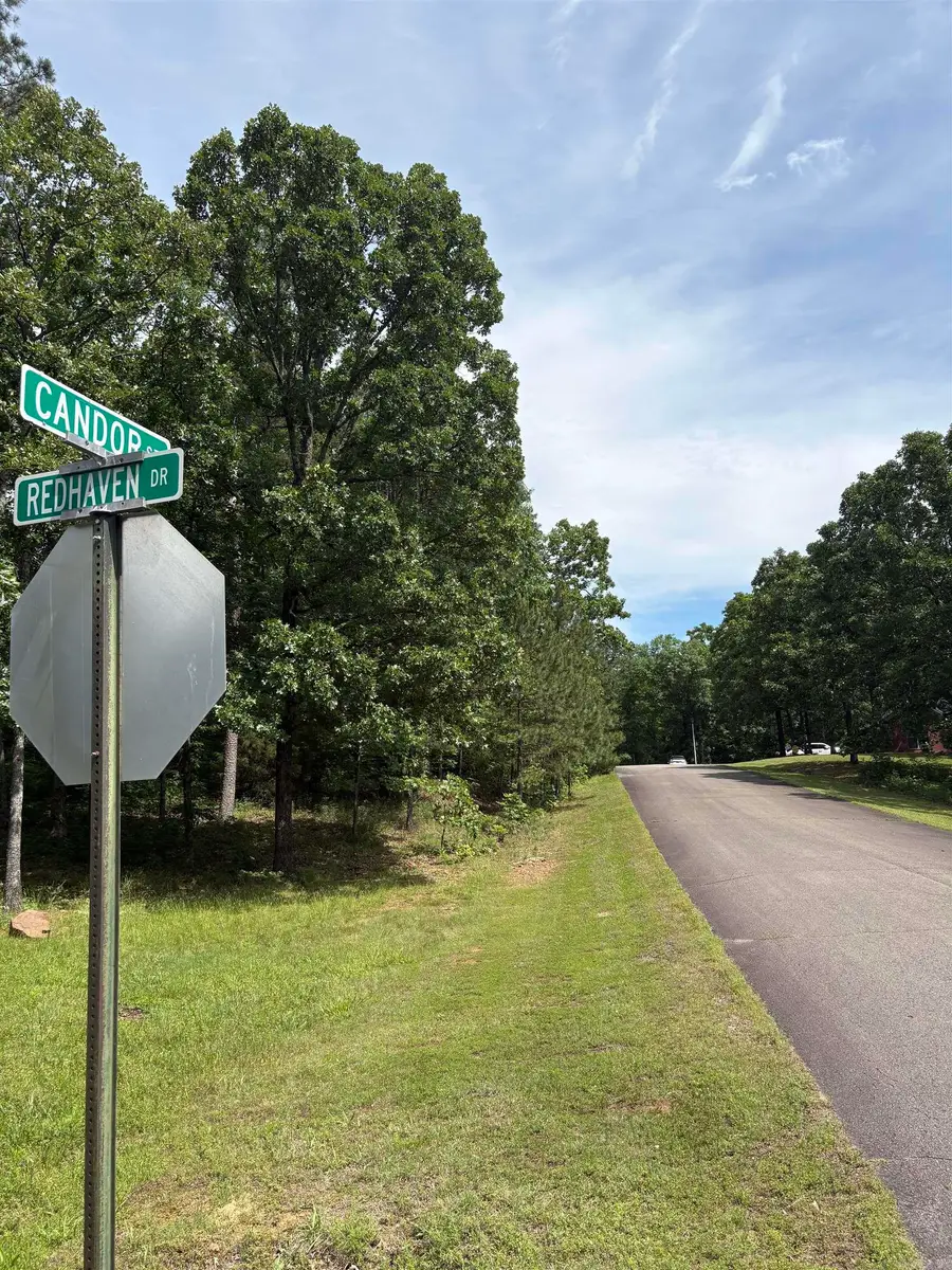 0000 Cresthaven Street, Conway, AR 72034 - #3