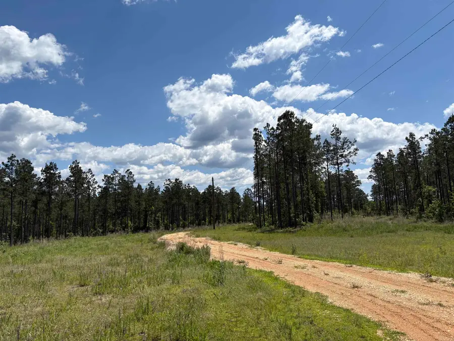 000 Grant 75, Sheridan, AR 72150 - #2