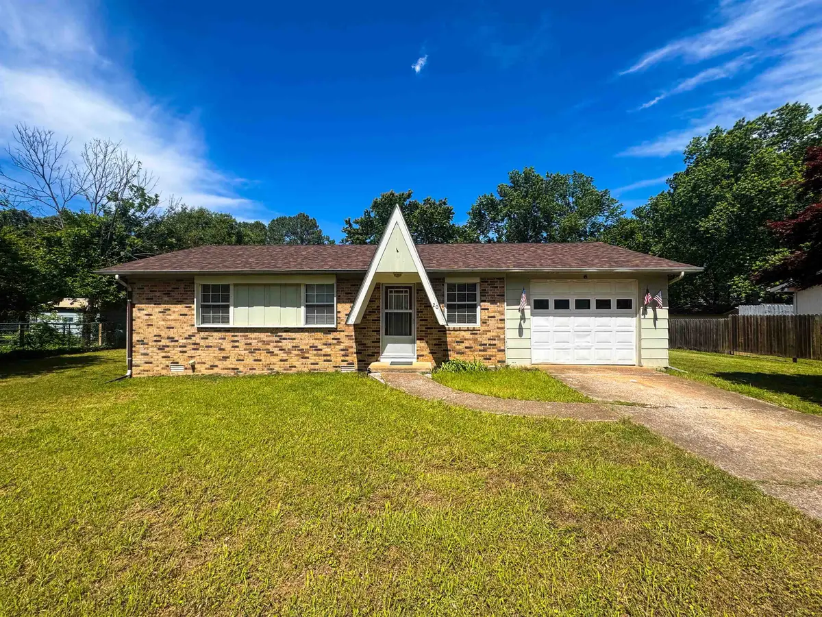 20 Diane Avenue, Ash Flat, AR 72513 - #1