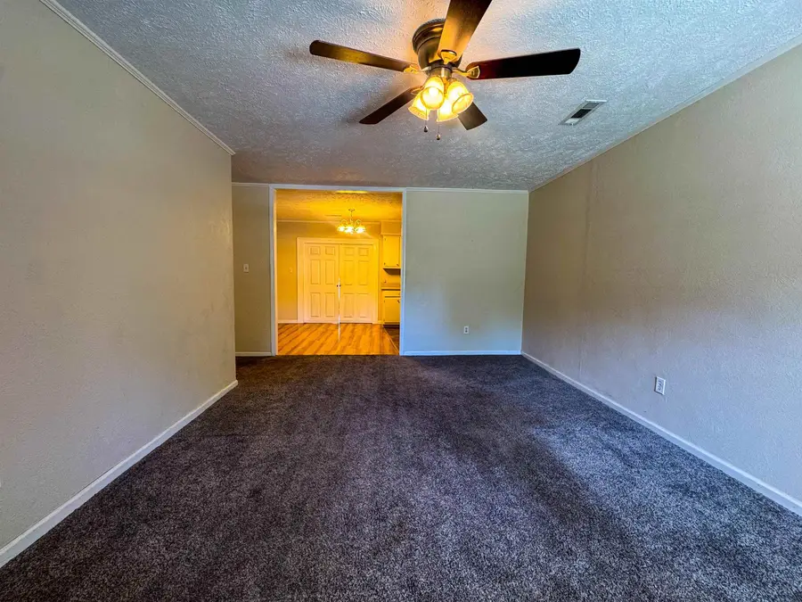 20 Diane Avenue, Ash Flat, AR 72513 - #3