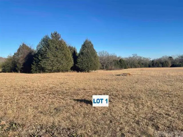 62 Addi Ln, Conway, AR 72032 - #1