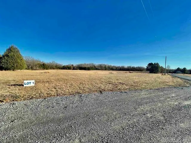 62 Addi Ln, Conway, AR 72032 - #2