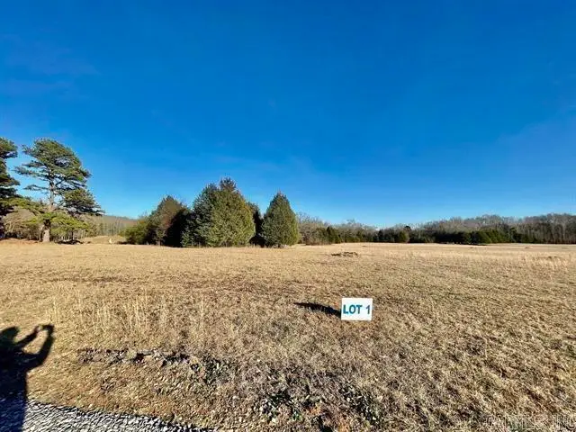 62 Addi Ln, Conway, AR 72032 - #3
