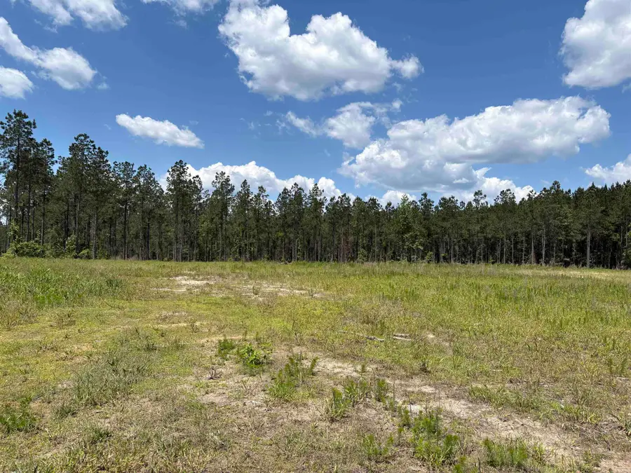 000 Grant 75, Sheridan, AR 72150 - #3
