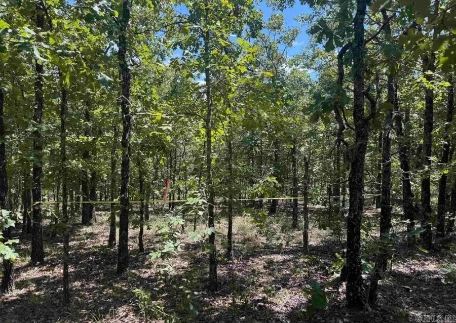Lot 14 7 Lakes Ranch Estates, Conway, AR 72032 - #3