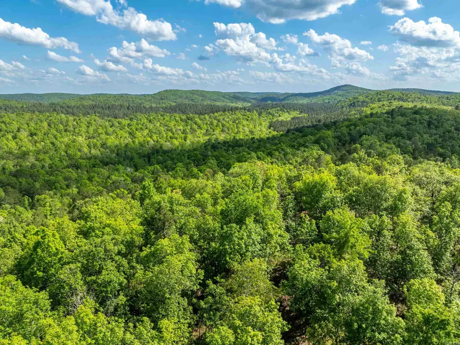 RPID 115120 Cedar Creek Road, Hot Springs, AR 71913 - #2
