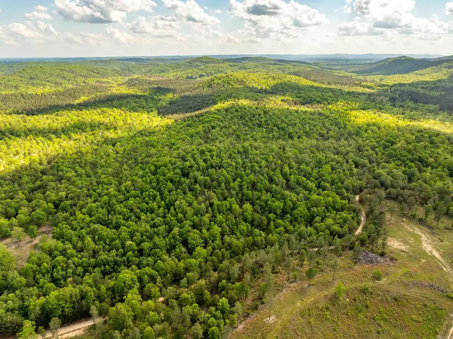 RPID 115120 Cedar Creek Road, Hot Springs, AR 71913 - #3
