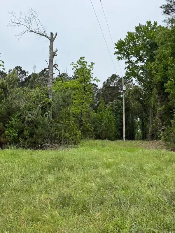 TBD Hwy 278 W, Dierks, AR 71833
