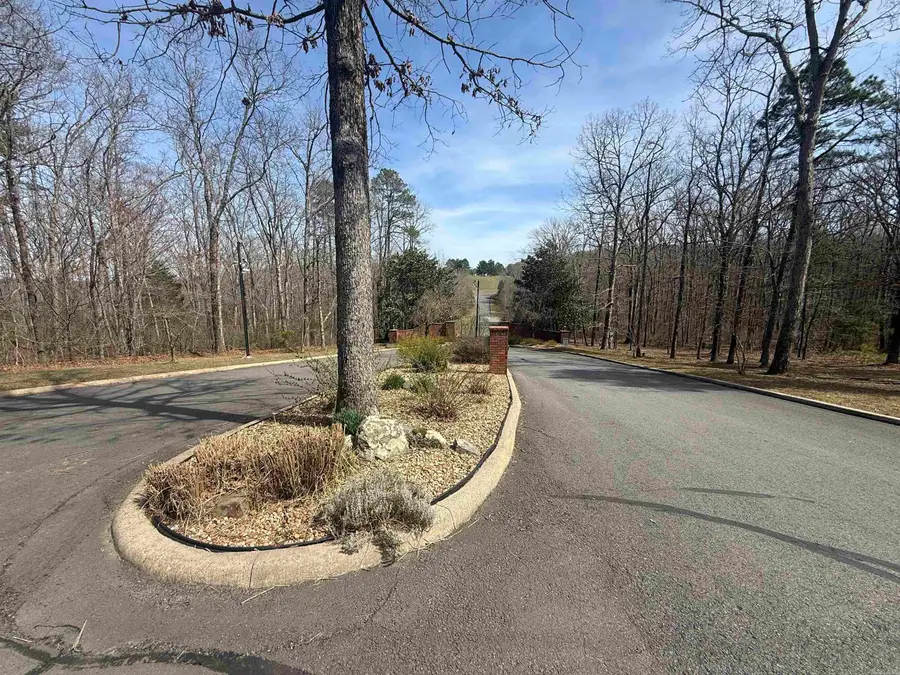 575 (Lot 45) Mustang Drive, Clinton, AR 72031 - #2