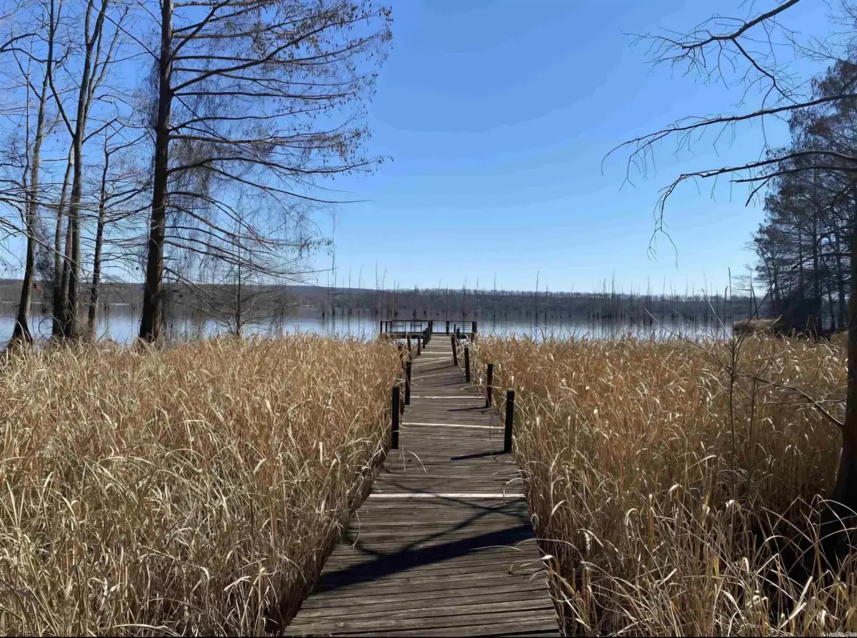 86 Waterfront Cove, Cadron, AR 72023 - #1
