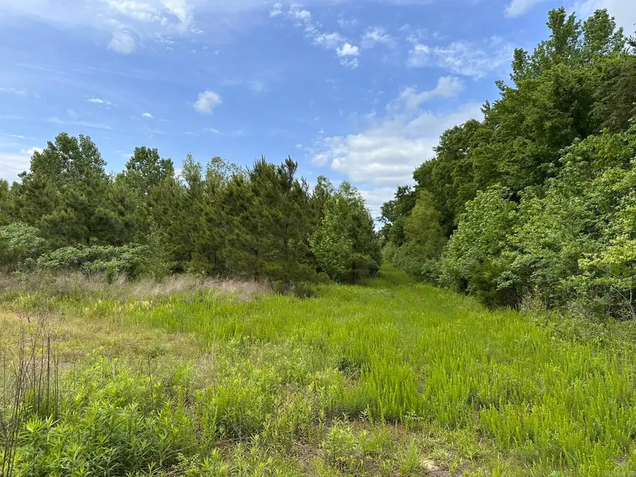 Address Withheld By Seller, Greenbrier, AR 72058 - #2