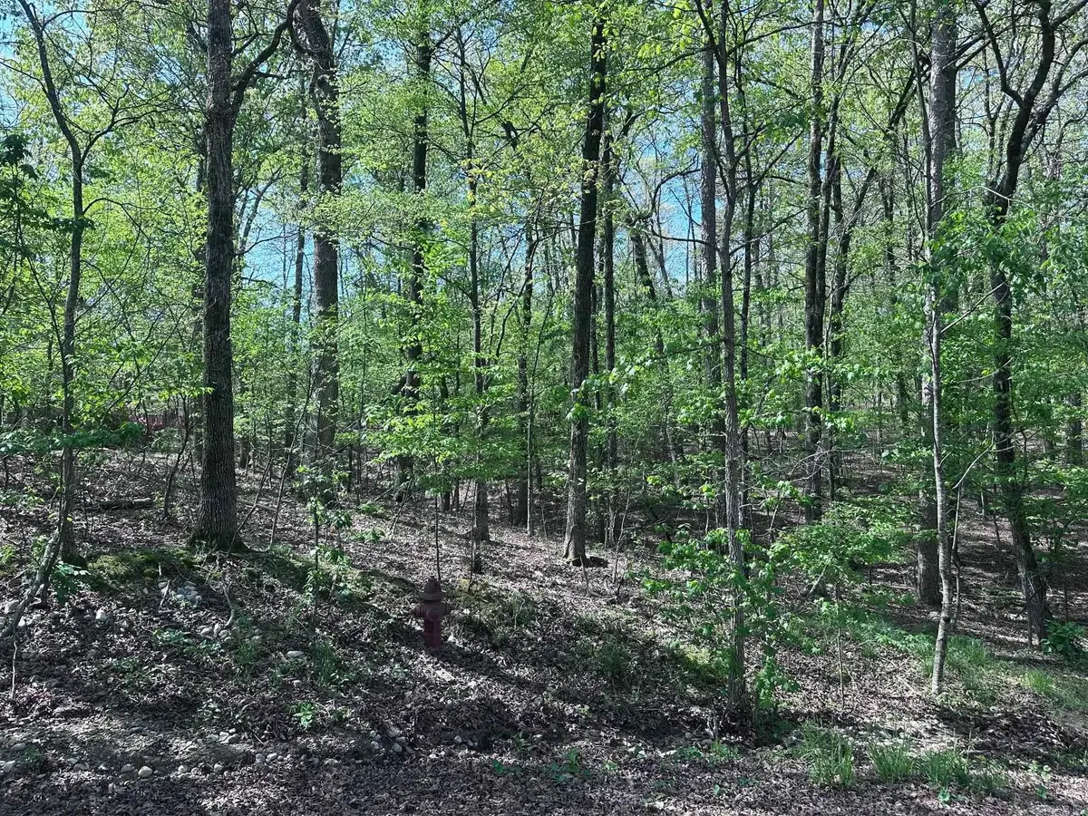 47 Rubi Circle, Hot Springs Village, AR 71909 - #1
