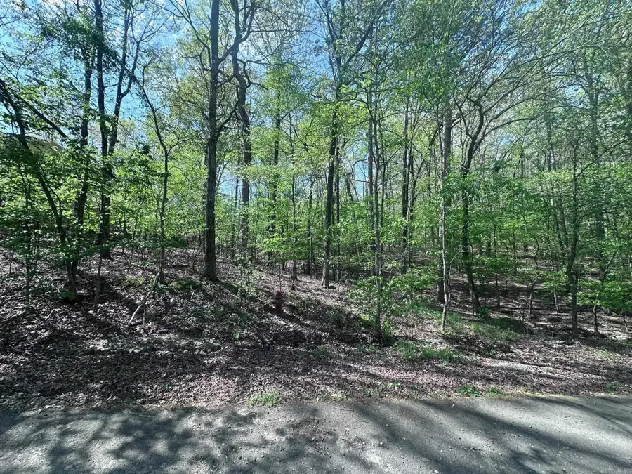 47 Rubi Circle, Hot Springs Village, AR 71909 - #2