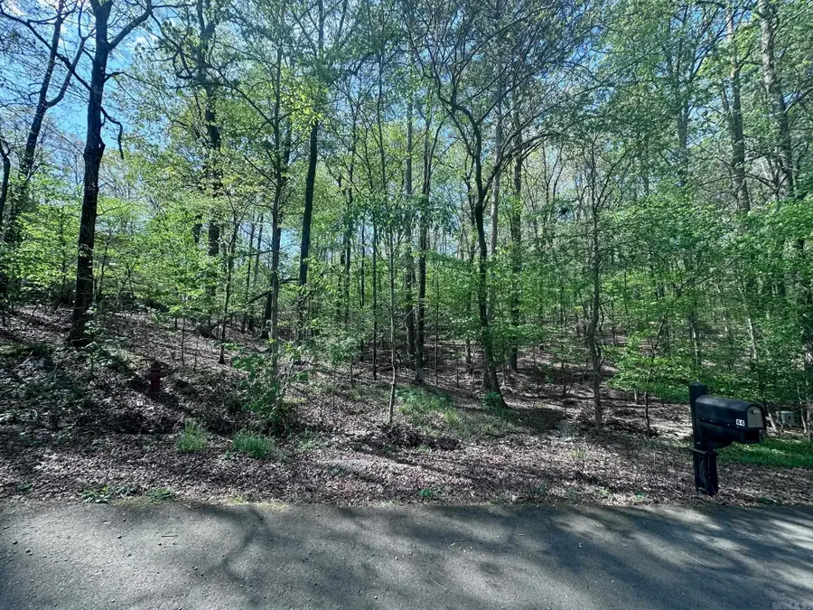 47 Rubi Circle, Hot Springs Village, AR 71909 - #3