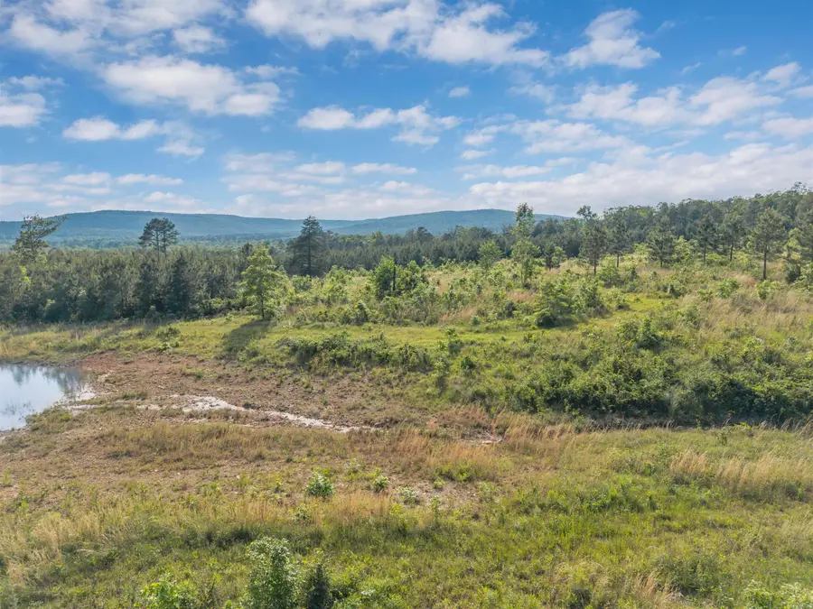 00 Liberty Springs Road, Scotland, AR 72141 - #2