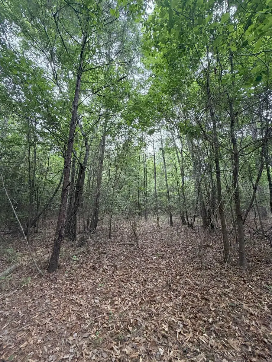 00 Hopewell Road, El Dorado, AR 71730 - #2