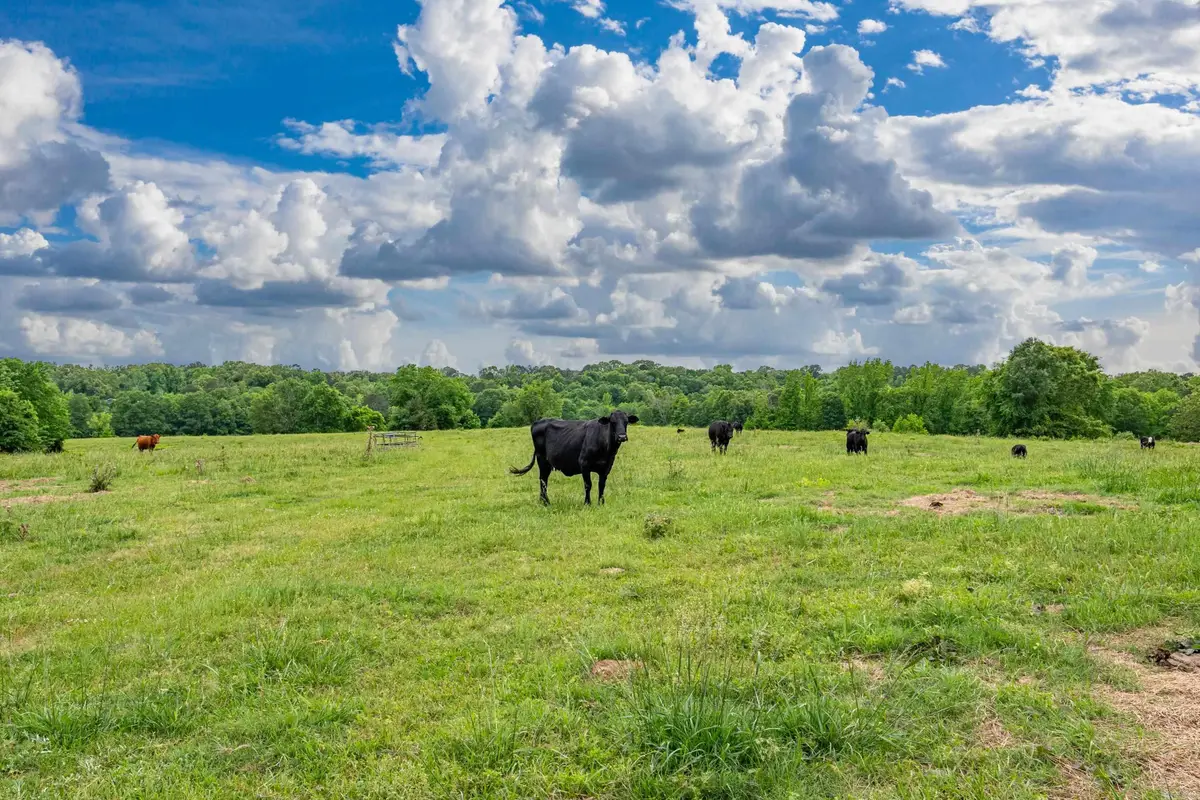 371 Highway 128, Bismarck, AR 71929 - #1