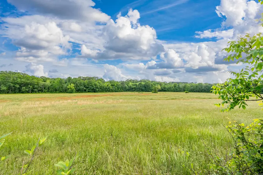 371 Highway 128, Bismarck, AR 71929 - #2