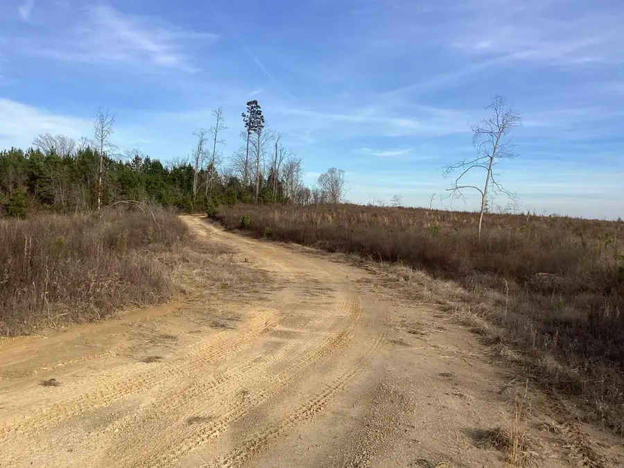 0000 Davidson Campground Road, Okolona, AR 71962 - #2