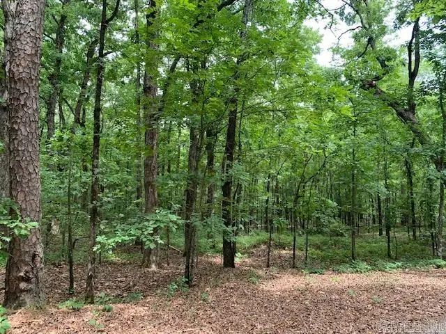 Lots 44 & 45 Lakeview Drive, Heber Springs, AR 72543 - #1