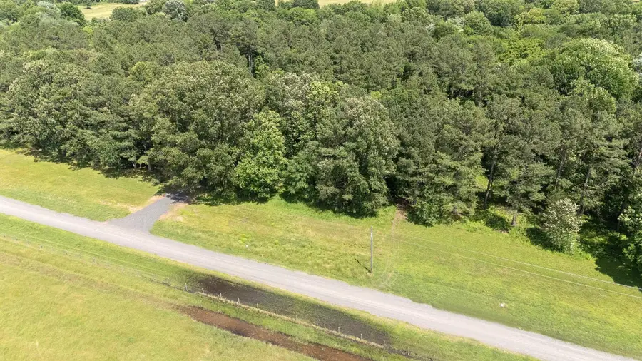Lot 6 River Creek Estates, Pangburn, AR 72121 - #3