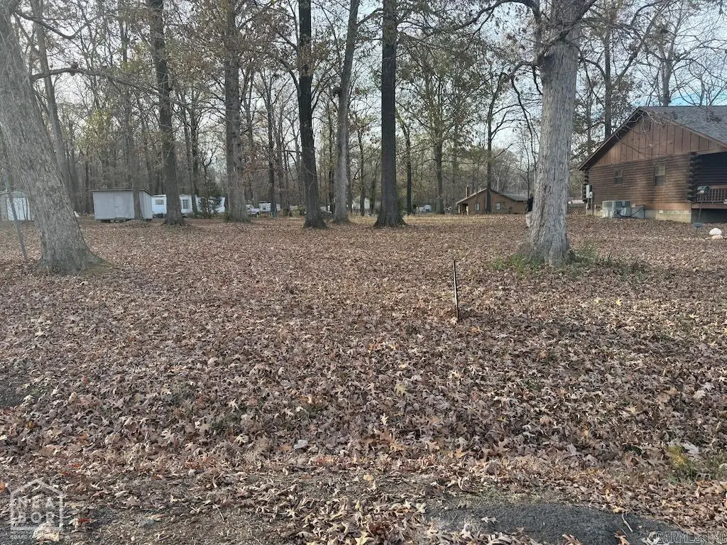 215 Jackson Loop, Mayflower, AR 72106 - #1