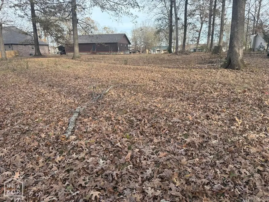215 Jackson Loop, Mayflower, AR 72106 - #3
