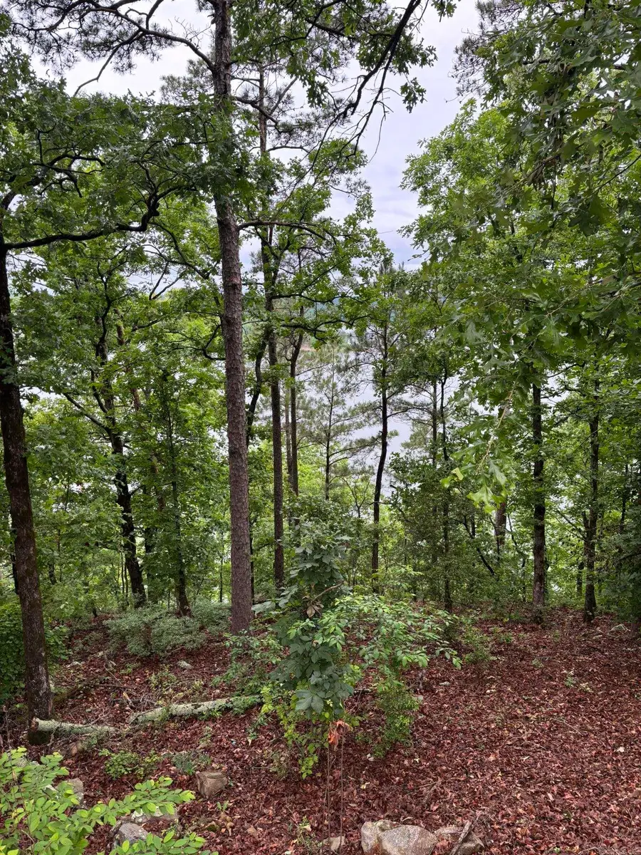 252 Mountain Mist Drive, Dierks, AR 71833 - #3