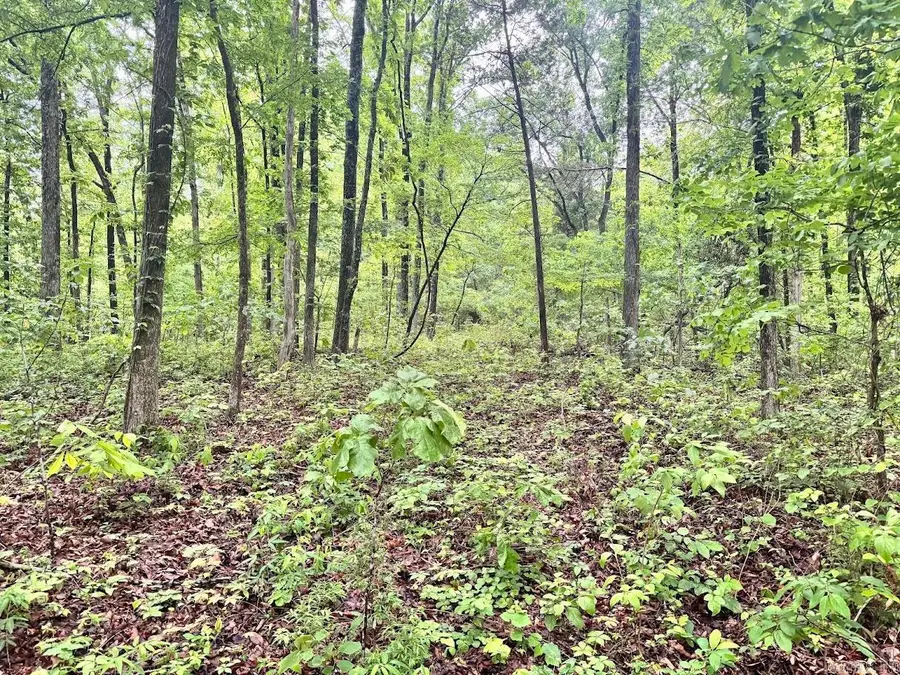 0 Herpel Road, Mountain View, AR 72560 - #2