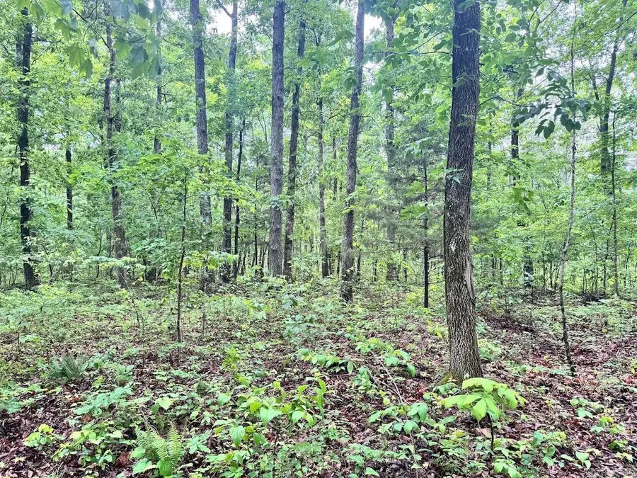 0 Herpel Road, Mountain View, AR 72560 - #3