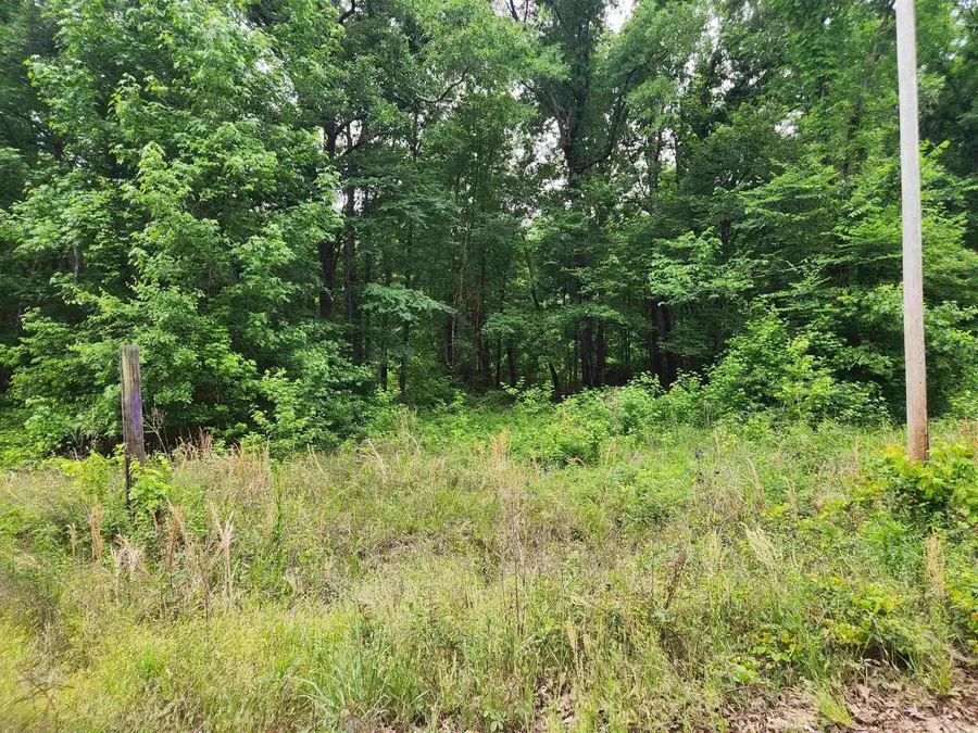 314 Arappaho Road, Star City, AR 71667 - #2