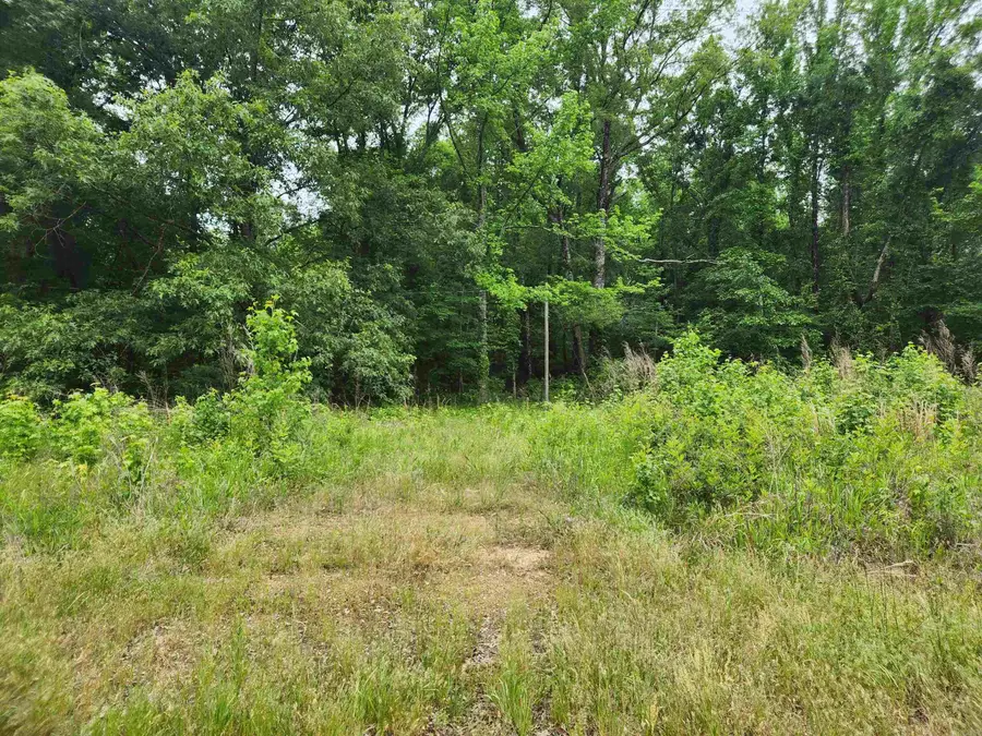 314 Arappaho Road, Star City, AR 71667 - #3