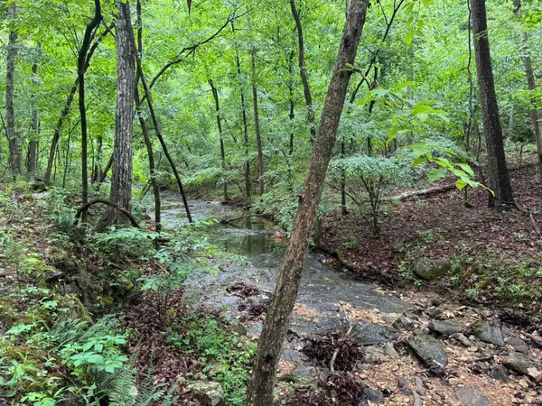 160A S Ar 9 Hwy, Melbourne, AR 72556