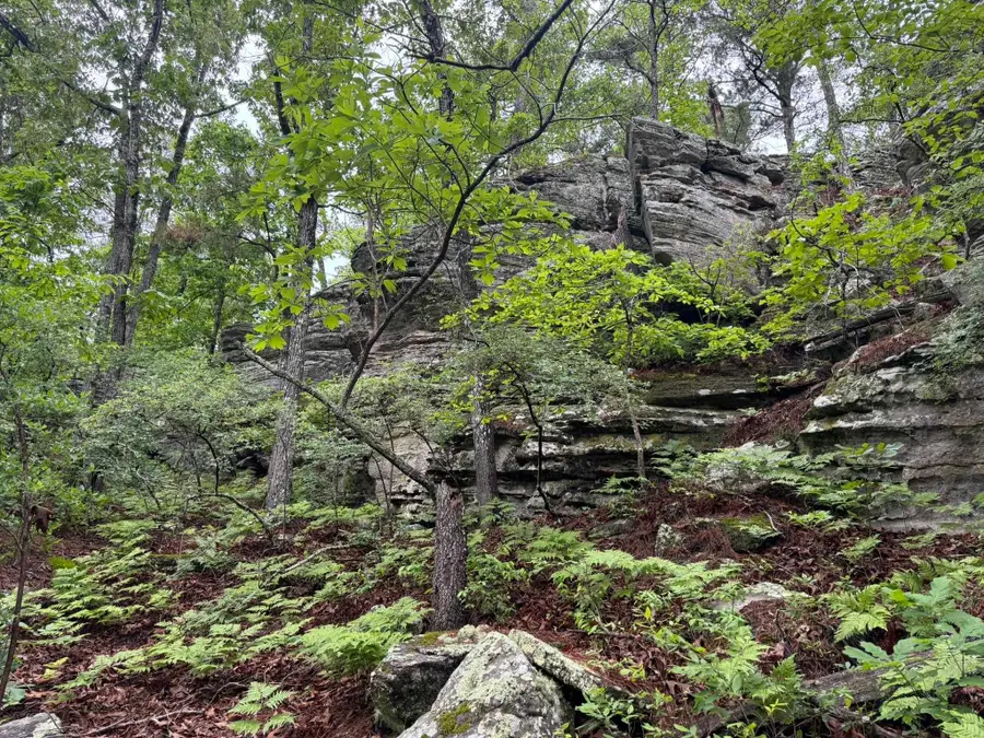 160A S Ar 9 Hwy, Melbourne, AR 72556 - #2