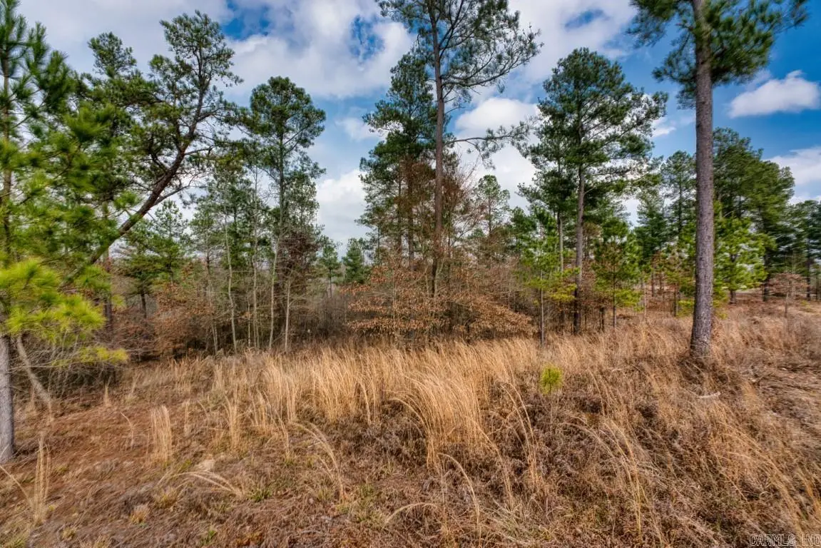19 Lookout Lane, Kirby, AR 71950 - #1