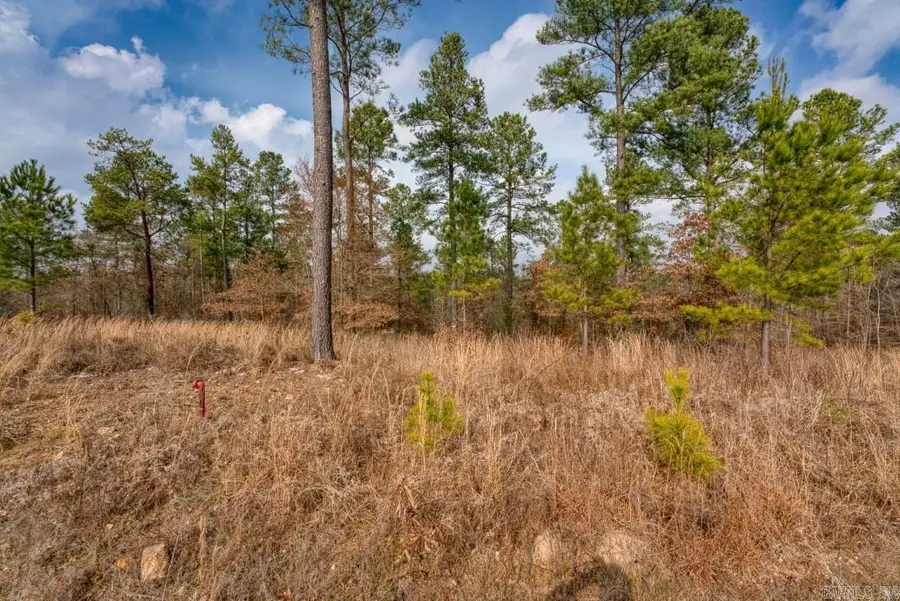 19 Lookout Lane, Kirby, AR 71950 - #3