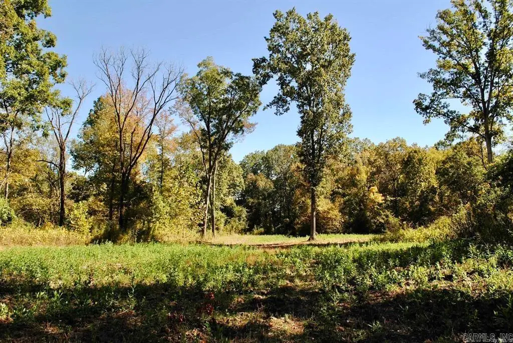 Off Forest Road Y09, Perryville, AR 72126 - #1