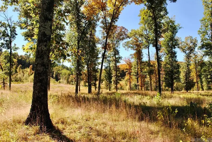 Off Forest Road Y09, Perryville, AR 72126 - #3