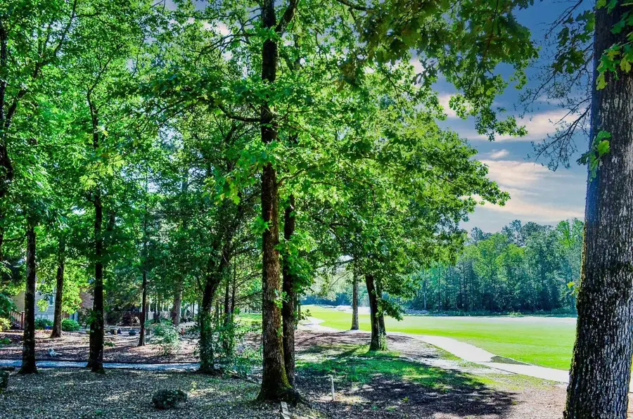 214 Pizarro Drive, Hot Springs Village, AR 71909 - #3