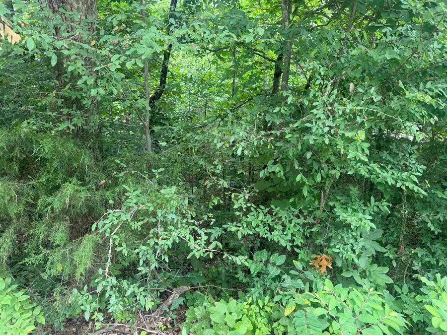 000 Iroquois Drive, Cherokee Village, AR 72529 - #3