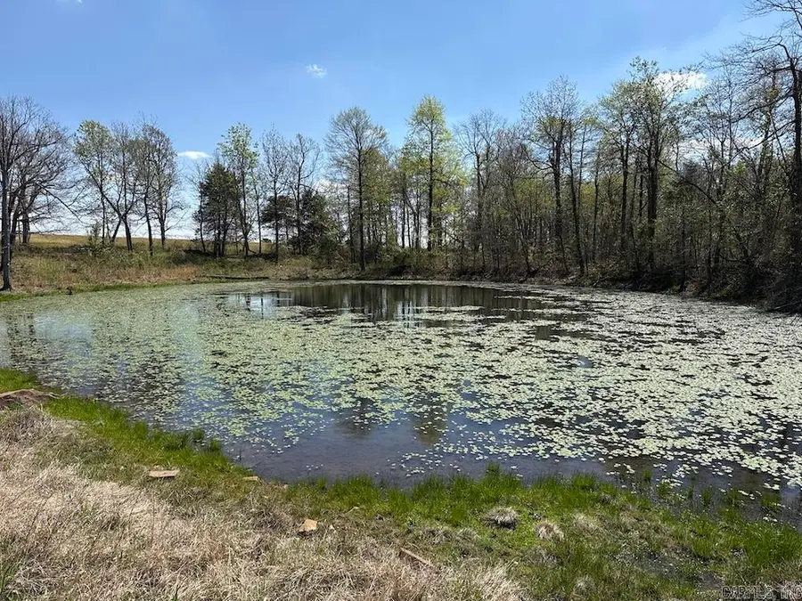 TBD Liberty Road, Leslie, AR 72645 - #3