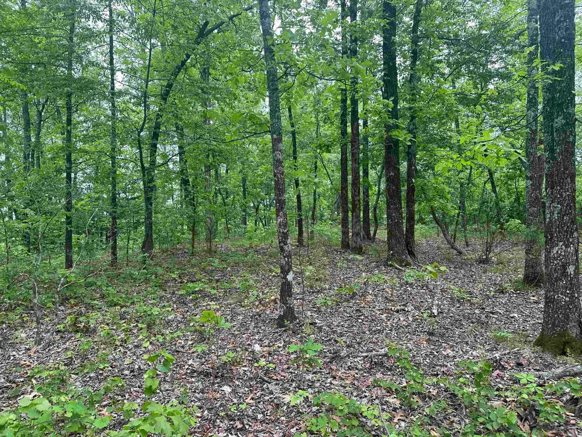000 Holly Mtn Rd, Clinton, AR 72031 - #1