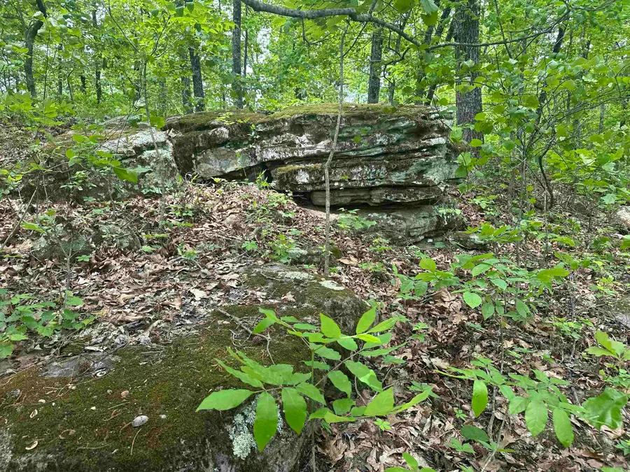 000 Holly Mtn Rd, Clinton, AR 72031 - #2
