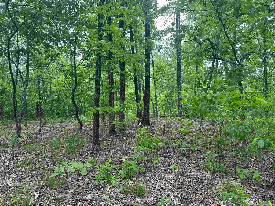 000 Holly Mtn Rd, Clinton, AR 72031 - #3
