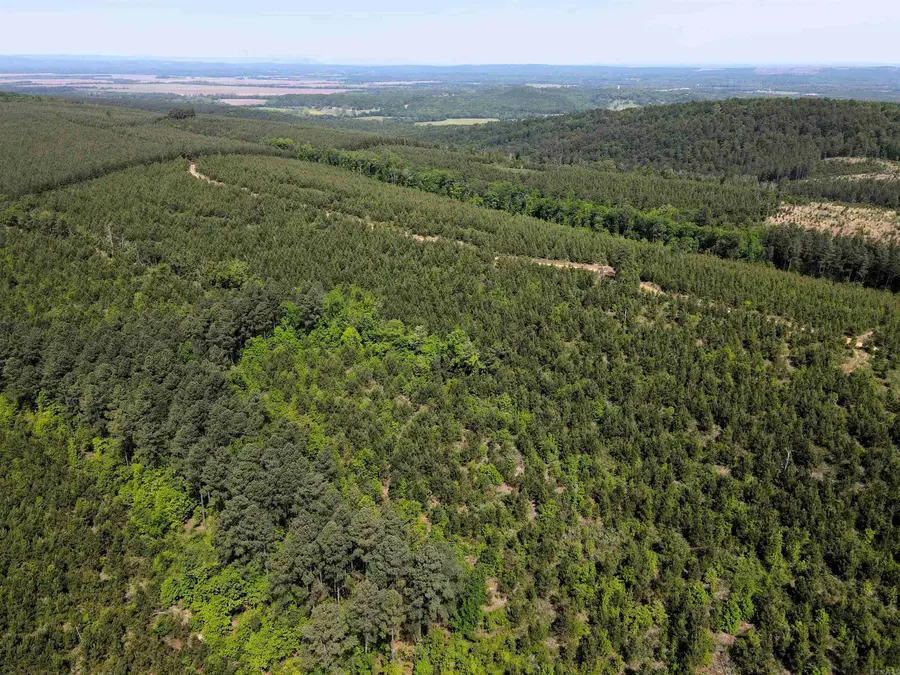 000 Baylor House Road, Bigelow, AR 72016 - #2
