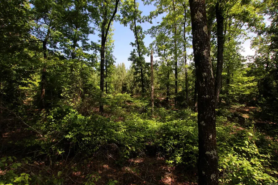 000 Baylor House Road, Bigelow, AR 72016 - #3